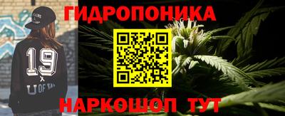 шишки Усть-Джегута