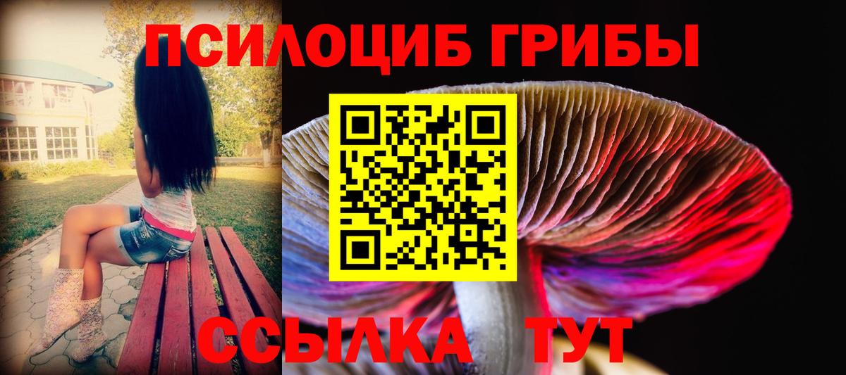 Псилоцибиновые грибы Psilocybe  Вход с VPN  Волгоград 
